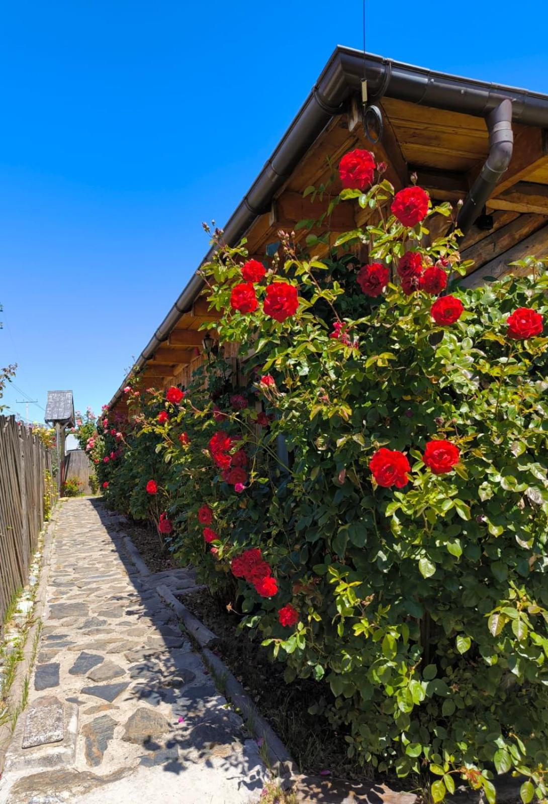 Hotel Ultimo Paraiso Cochrane Εξωτερικό φωτογραφία