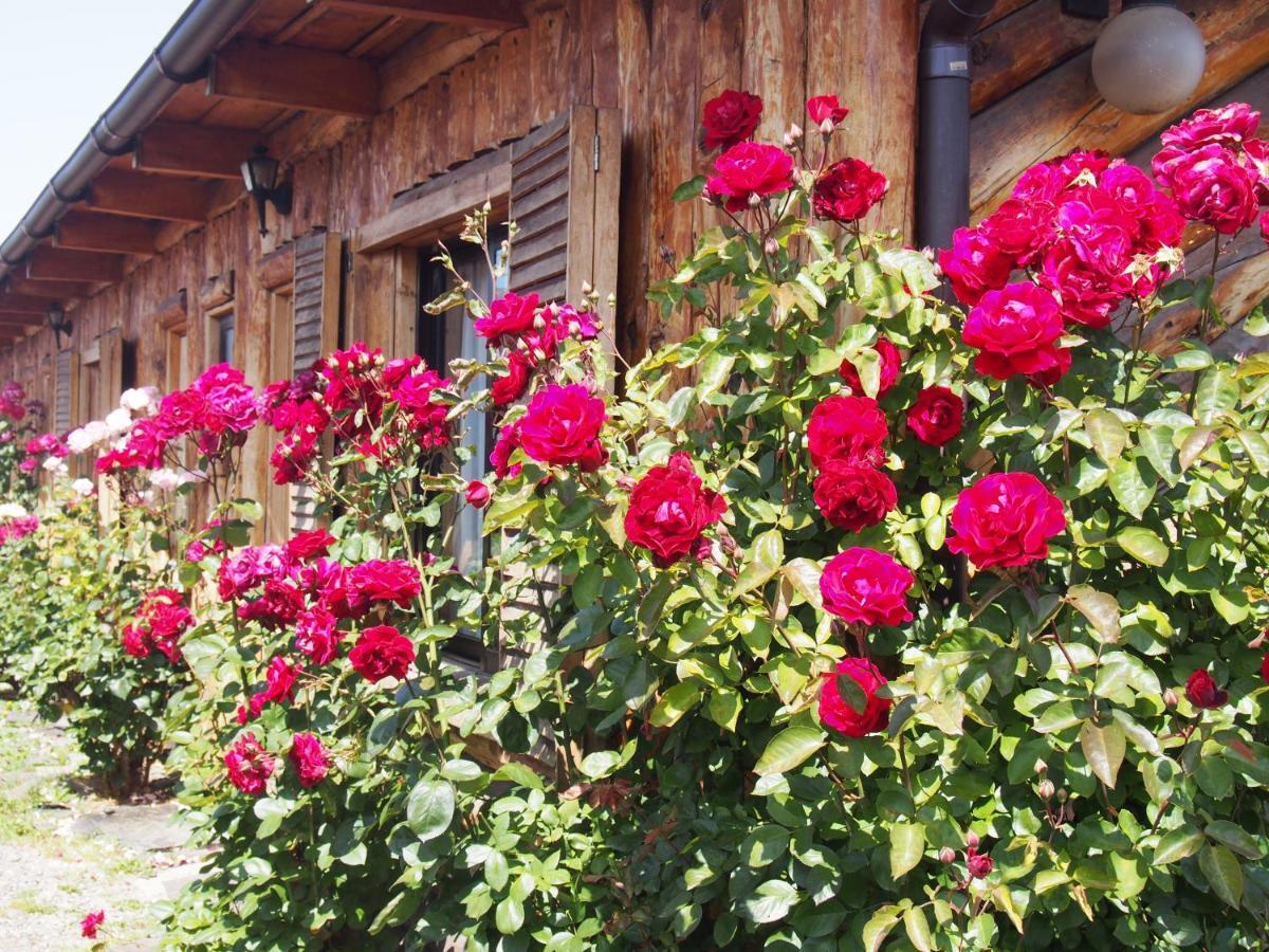 Hotel Ultimo Paraiso Cochrane Εξωτερικό φωτογραφία